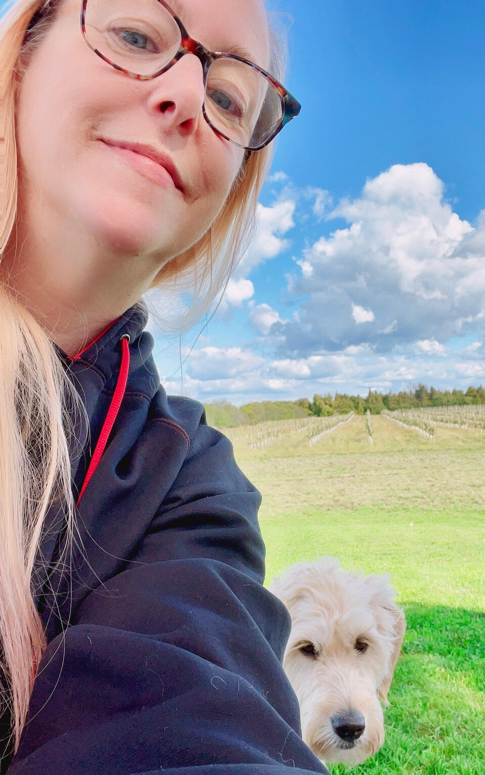 The Charcuterie Co. The Charcuterie Co.